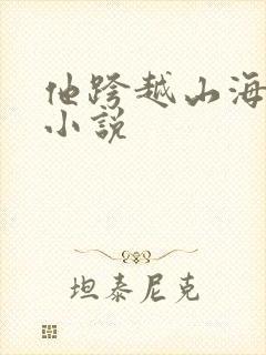 他跨越山海而来小说