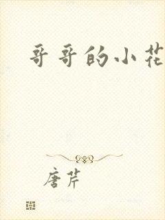 哥哥的小花妖