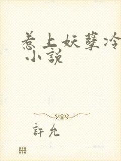 惹上妖孽冷殿下 小说