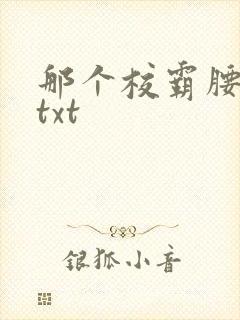 那个校霸腰好软txt