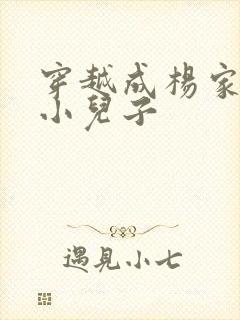 穿越成杨家将最小儿子