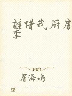 谁借我厨房第二季