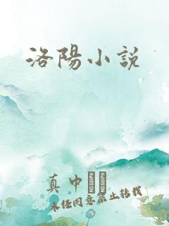 洛阳小说
