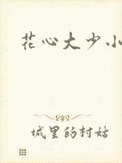 花心大少小说