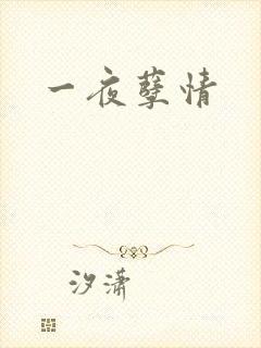 一夜孽情
