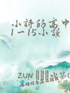 小诗的高中日记1一15小说