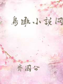 鸟瞰小说网