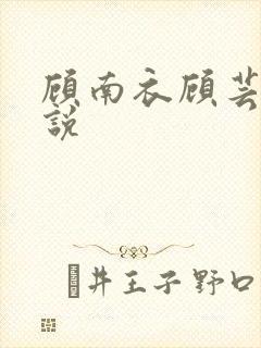 顾南衣顾芸沐小说