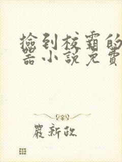 捡到校霸的遥控器小说免费阅读无弹窗