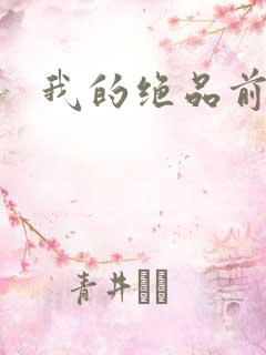 我的绝品前妻