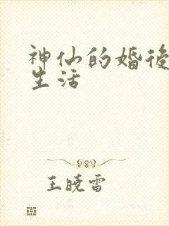 神仙的婚后都市生活