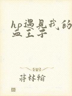 hp遇见我的混血王子