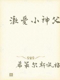 激爱小神父