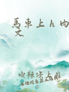 马车上 h 肉 文