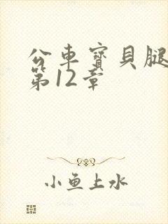 公车宝贝腿开点第12章