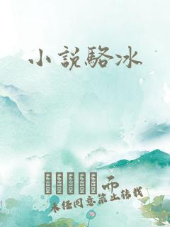 小说骆冰