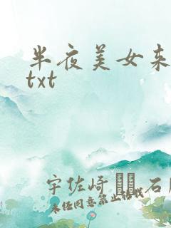半夜美女来敲门txt