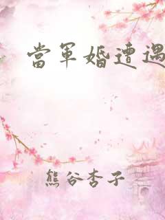 当军婚遭遇爱情