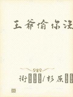 王爷偷你没商量