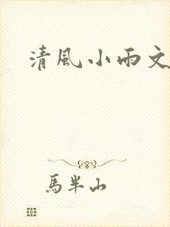 清风小雨文学网