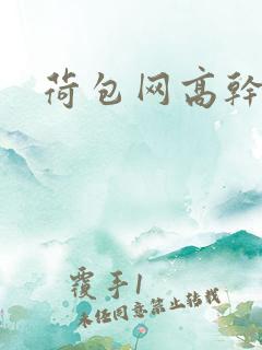 荷包网高干文