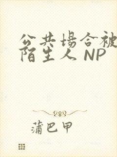 公共场合被各种陌生人 NP