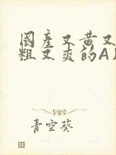 国产又黄又猛又粗又爽的A片小说