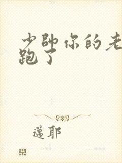 少帅你的老婆又跑了