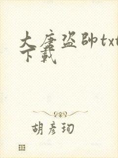 大唐盗帅txt下载