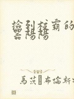 捡到校霸的遥控器阳阳