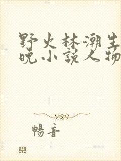 野火林潮生林晚晚小说人物野火