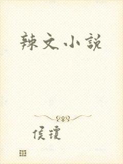 辣文小说