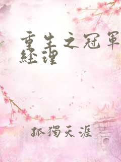 重生之冠军篮球经理