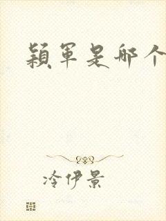 颖军是哪个军阀