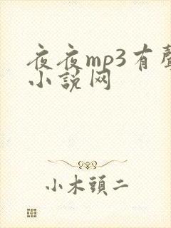 夜夜mp3有声小说网