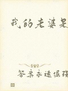 我的老婆是火影