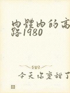 肉体内的高速公路1980