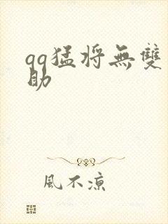 qq猛将无双辅助