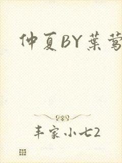 仲夏BY叶莺