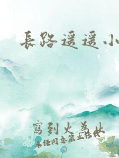 长路遥遥小说