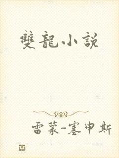 双龙小说