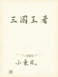 三国王者