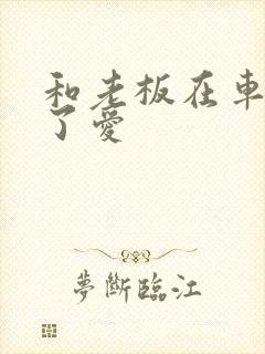 和老板在车里做了爱