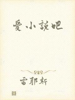 爱小说吧