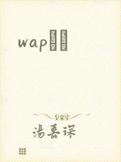 wapС˵