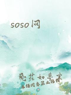 soso网