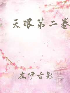天眼第二卷
