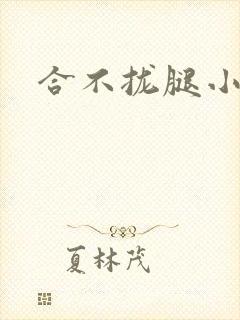合不拢腿小说