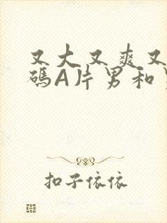 又大又爽又黄无码A片男和男