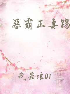 恶霸正妻踢娇妾